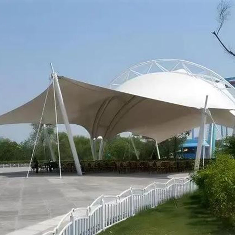 坪山区工程案例